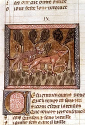 Lis i wilk, iluminacja z rękopisu zatytułowanego Roman de Renart (Powieść o lisie), ok. XIII wieku